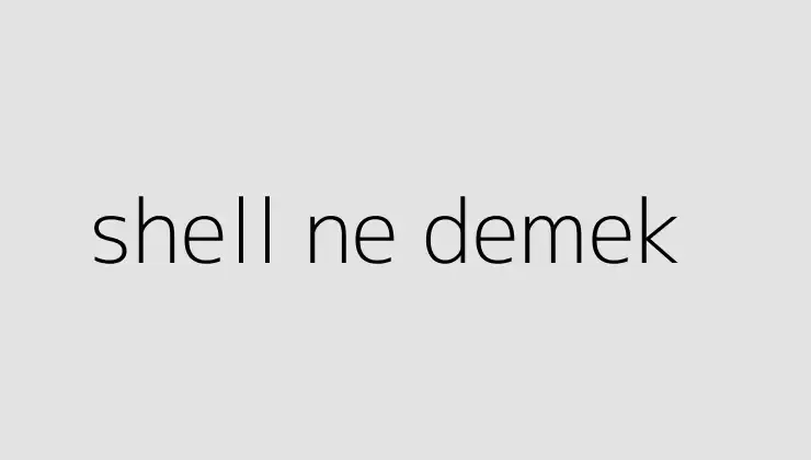 Shell SEO 1 shell seo